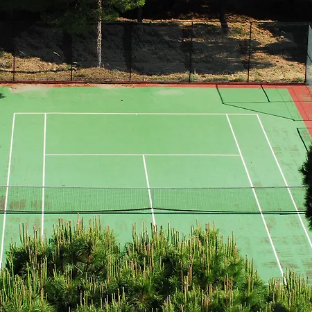 מלון Falesia - Adults Only 4*