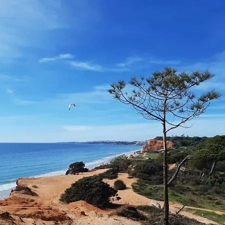 Falesia - Adults Only Hotel Albufeira