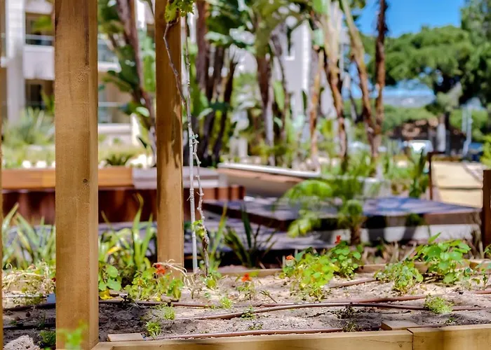 Falesia - Adults Only Albufeira