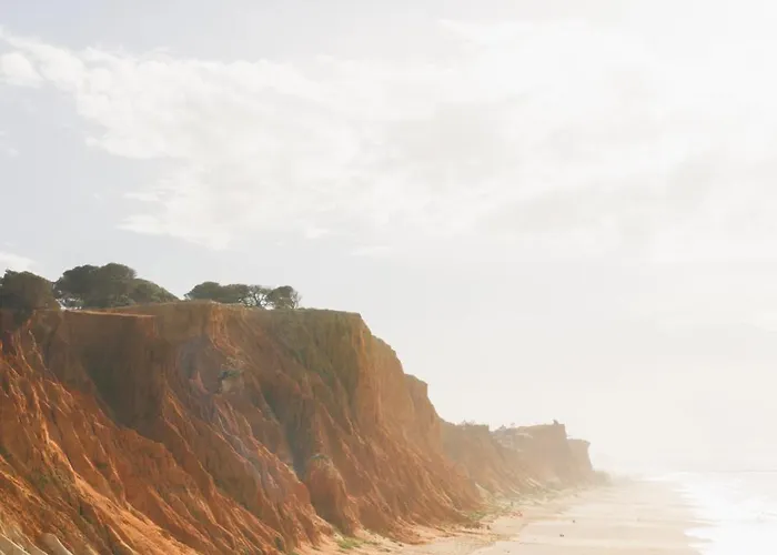 Hotel Falesia - Adults Only