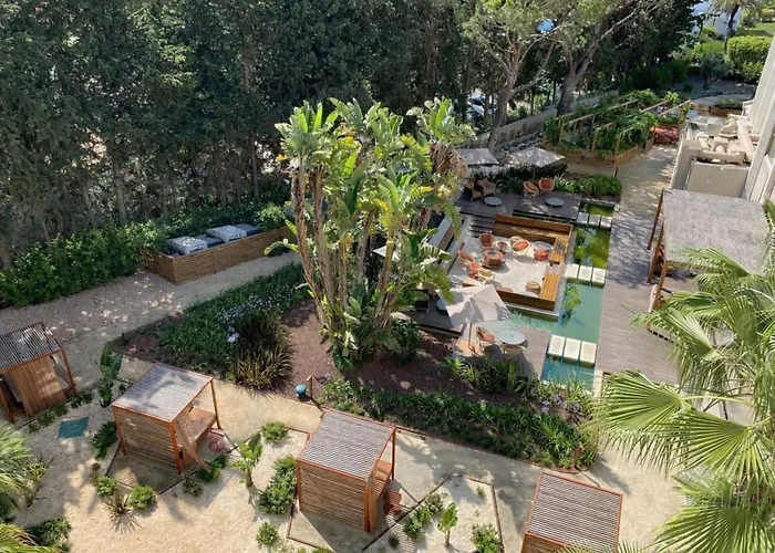 Hotel Falesia - Adults Only 4*