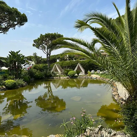 Falesia - Adults Only 4* البوفيرا